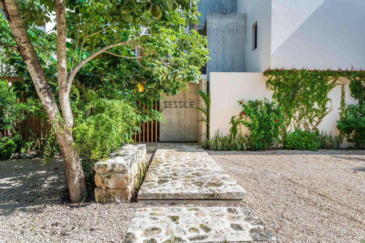 Luxury Apartament With Private Plunge Pool - Ground Floor Tulum Exterior photo