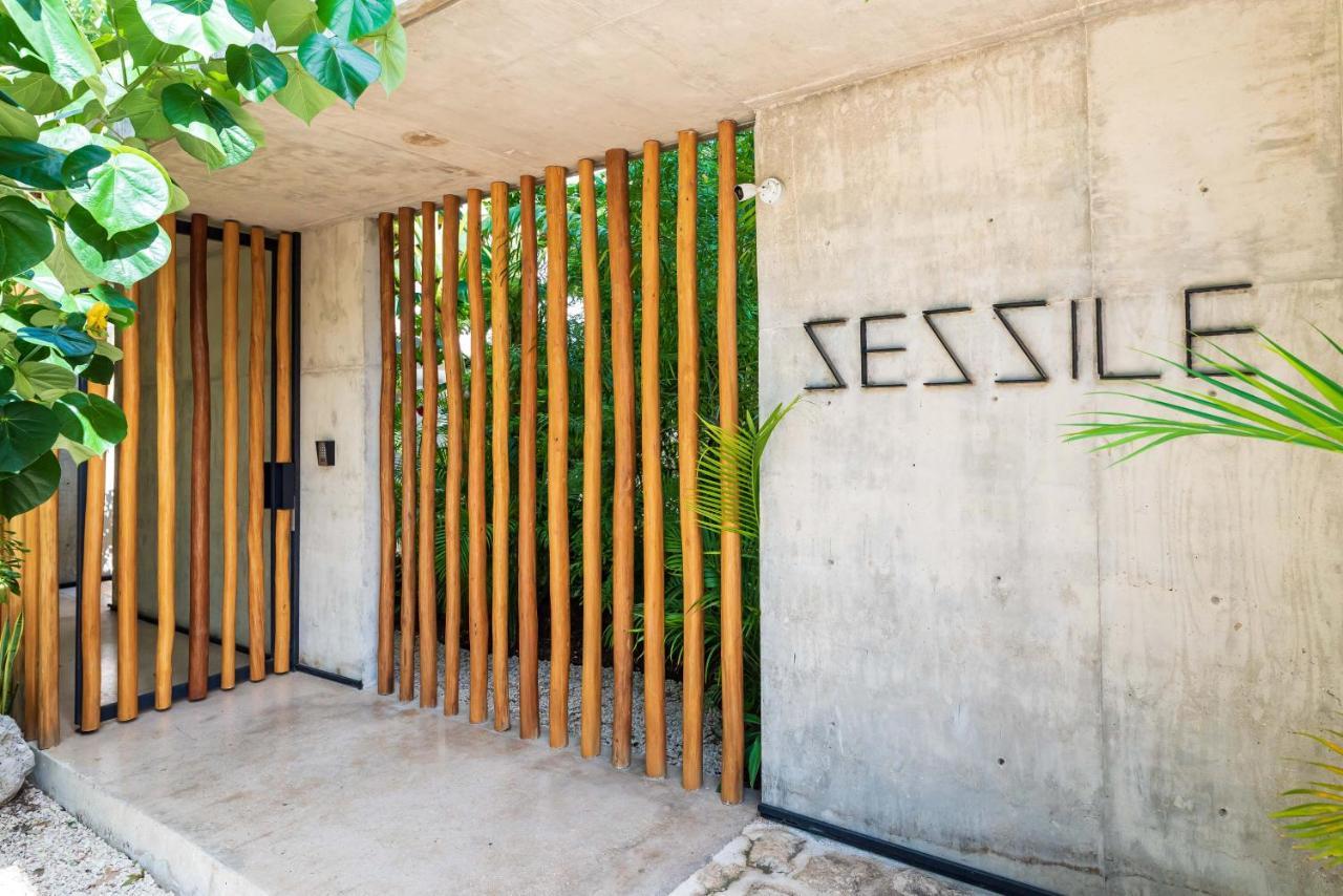Luxury Apartament With Private Plunge Pool - Ground Floor Tulum Exterior photo